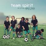 10-07-2014 - mcs-marketing - Team Spirit - cover.jpg